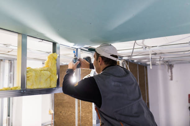 Best Spray Foam Insulation in Ozona, TX