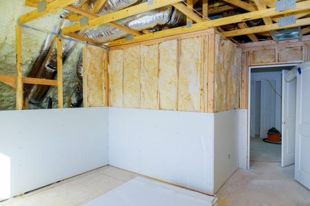 Best Commercial Insulation in Ozona, TX