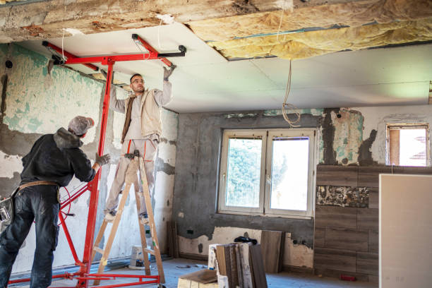Best Cellulose Insulation in Ozona, TX