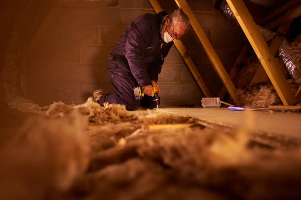 Best Blown-in Insulation in Ozona, TX
